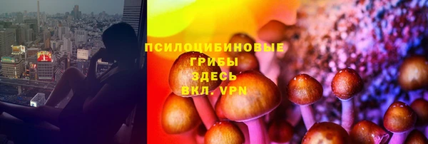 МДПВ Алзамай