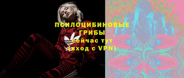 МДПВ Алзамай