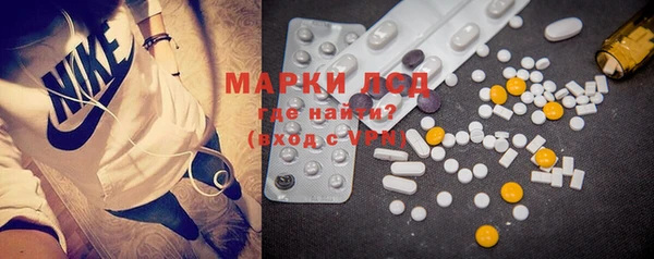 apvp Магас